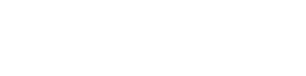 BuzzWire logo, white